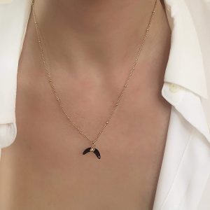 Collier tendance 2024- petite corne noire