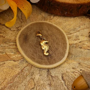 Charm Hippocampe