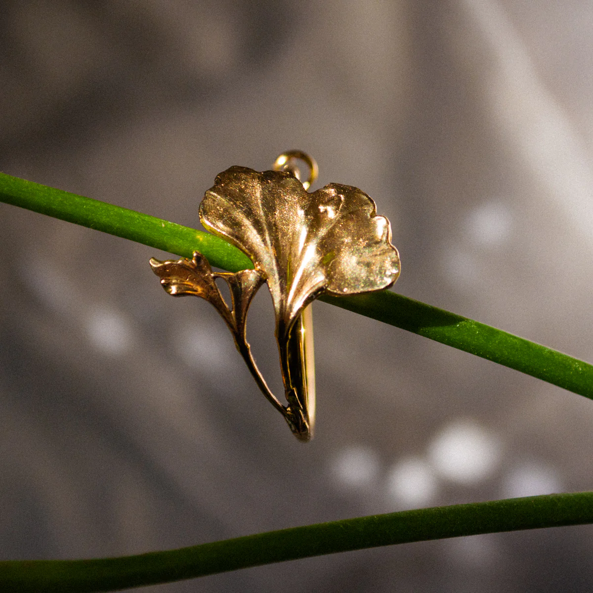 Créole Ginkgo Dorées – Image 6