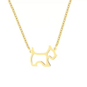 Collier chien