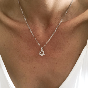 collier patte de chien argenté