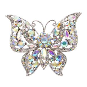 Broche Papillon Polaris
